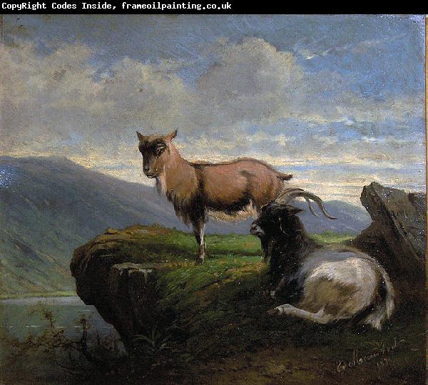 unknow artist Chamois in the mountains